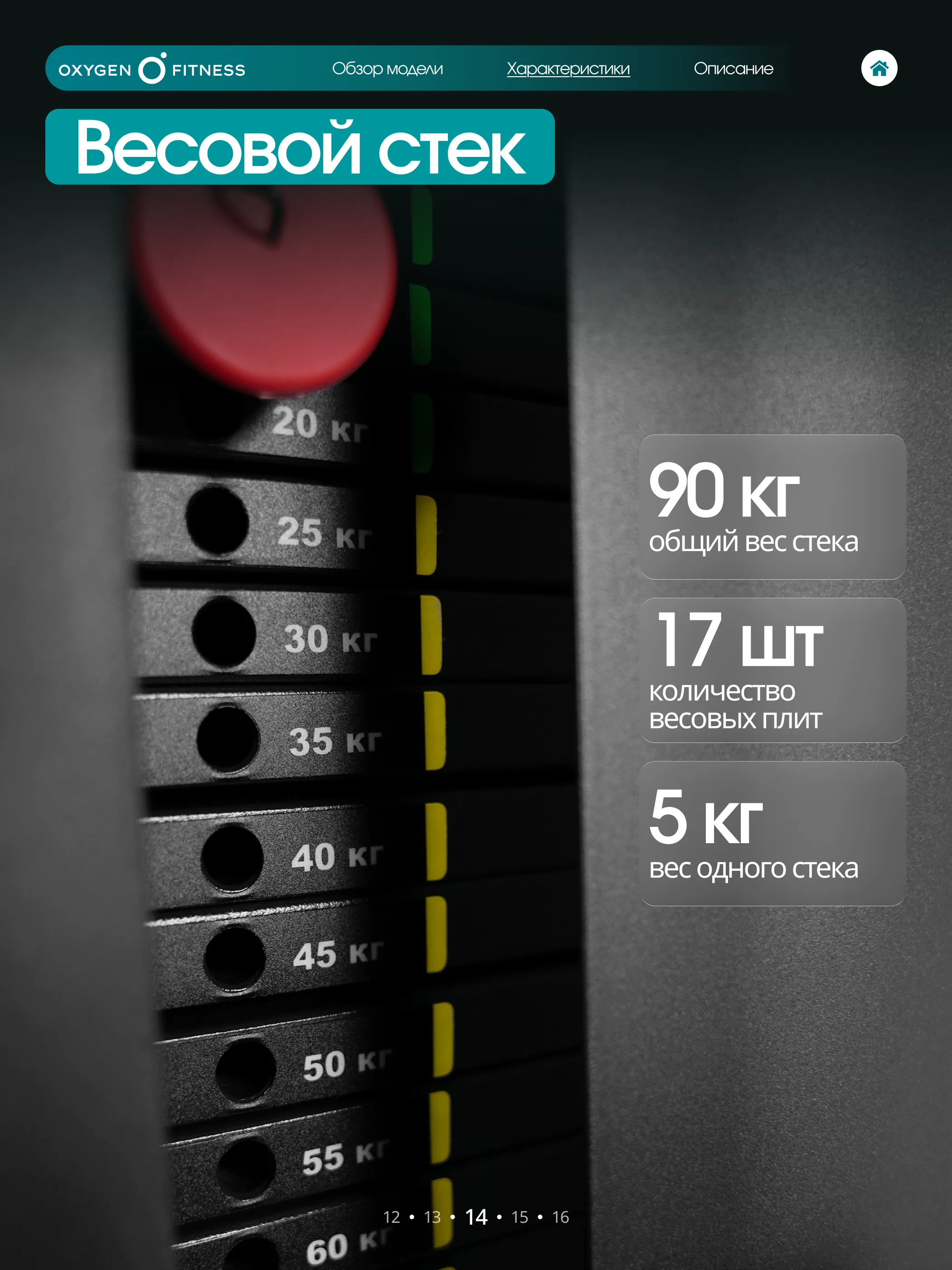 Силовой комплекс OXYGEN FITNESS IRON