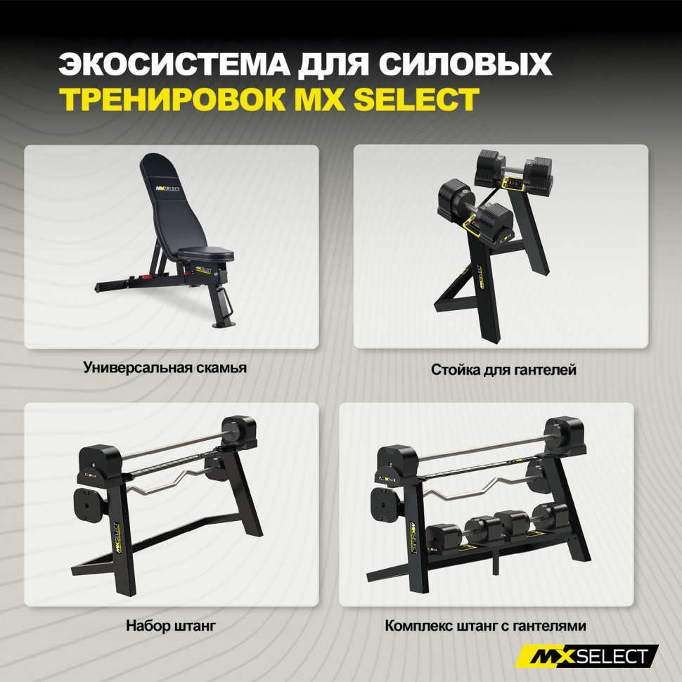 Держатель для гантелей MX55 EVO и MX100 EVO на стойку для штанг MX125